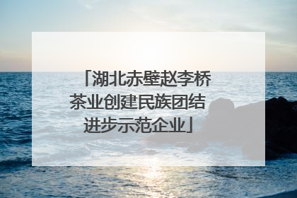 湖北赤壁赵李桥茶业创建民族团结进步示范企业