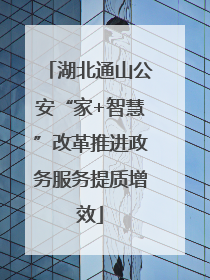 湖北通山公安“家+智慧”改革推进政务服务提质增效