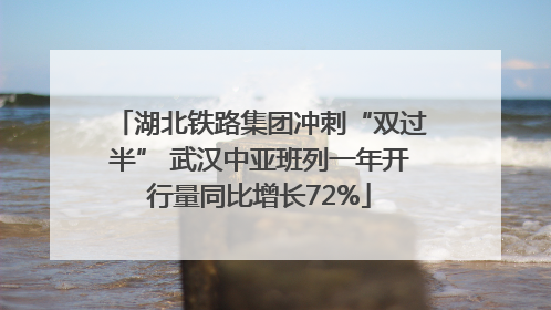 湖北铁路集团冲刺“双过半” 武汉中亚班列一年开行量同比增长72%