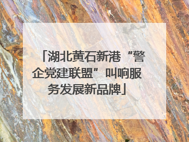 湖北黄石新港“警企党建联盟”叫响服务发展新品牌