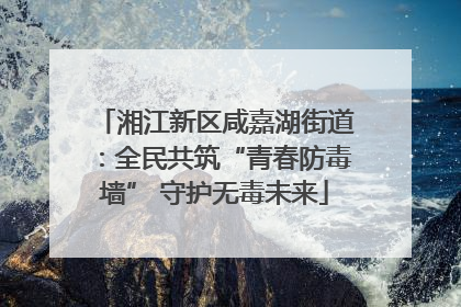 湘江新区咸嘉湖街道：全民共筑“青春防毒墙” 守护无毒未来