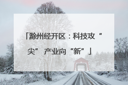 滁州经开区：科技攻“尖” 产业向“新”