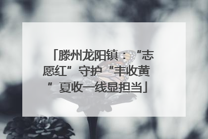 滕州龙阳镇：“志愿红”守护“丰收黄”夏收一线显担当