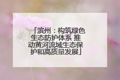 滨州：构筑绿色生态防护体系 推动黄河流域生态保护和高质量发展