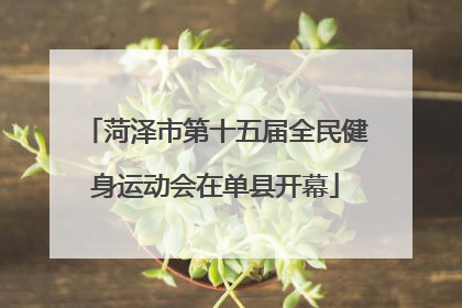 菏泽市第十五届全民健身运动会在单县开幕