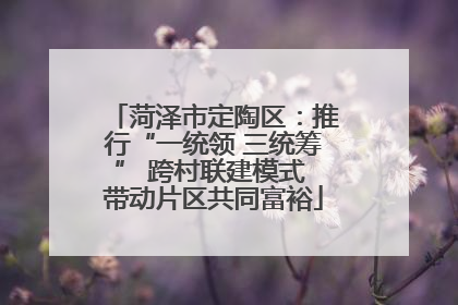 菏泽市定陶区：推行“一统领 三统筹” 跨村联建模式 带动片区共同富裕