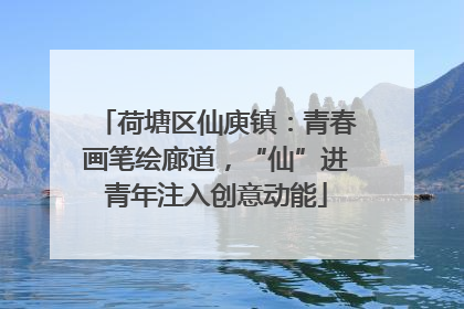 荷塘区仙庾镇：青春画笔绘廊道，“仙”进青年注入创意动能