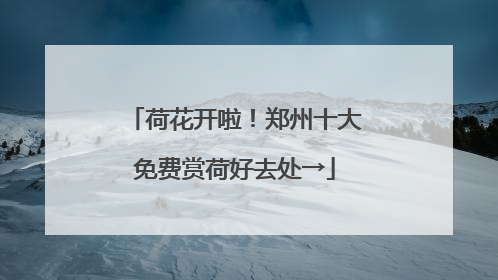 荷花开啦！郑州十大免费赏荷好去处→