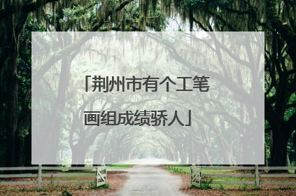 荆州市有个工笔画组成绩骄人