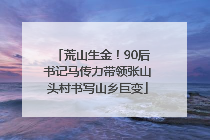 荒山生金！90后书记马传力带领张山头村书写山乡巨变