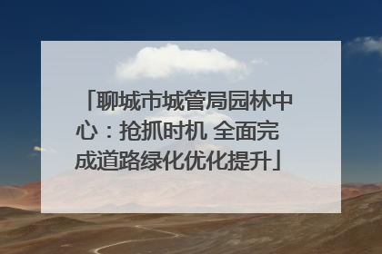 聊城市城管局园林中心：抢抓时机 全面完成道路绿化优化提升