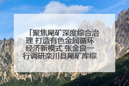 聚焦尾矿深度综合治理 打造有色金属循环经济新模式 张金良一行调研栾川县尾矿库综合治理工作