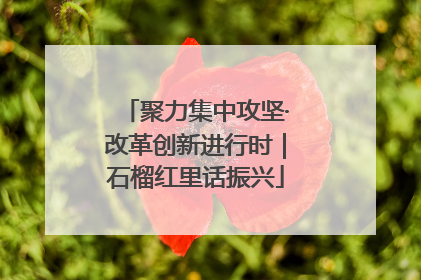 聚力集中攻坚·改革创新进行时｜石榴红里话振兴
