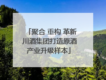 聚合 重构 革新 川酒集团打造原酒产业升级样本