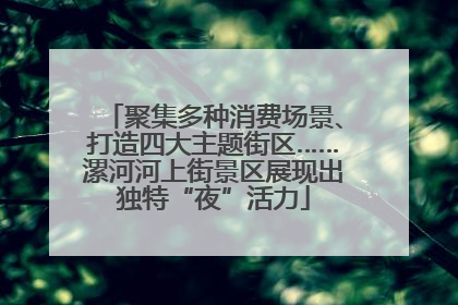 聚集多种消费场景、打造四大主题街区……漯河河上街景区展现出独特“夜”活力