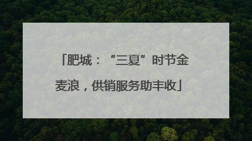 肥城：“三夏”时节金麦浪，供销服务助丰收