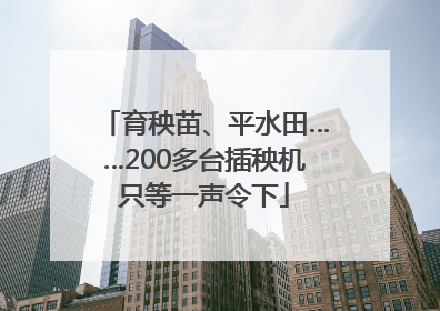 育秧苗、平水田……200多台插秧机只等一声令下