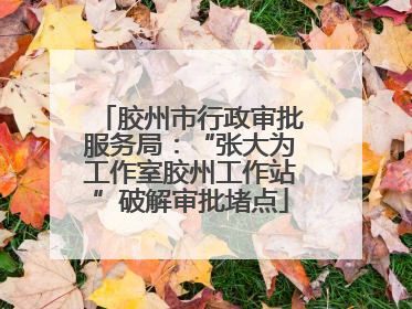 胶州市行政审批服务局：“张大为工作室胶州工作站”破解审批堵点