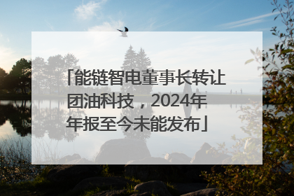 能链智电董事长转让团油科技，2024年年报至今未能发布