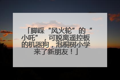 脚踩“风火轮”的“小吒”，可脱离遥控板的机器狗，泡桐树小学来了新朋友！