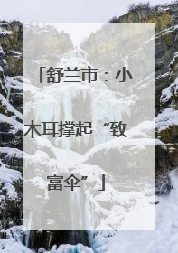 舒兰市：小木耳撑起“致富伞”