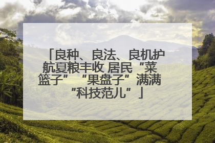良种、良法、良机护航夏粮丰收 居民“菜篮子”“果盘子”满满“科技范儿”