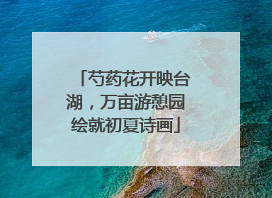 芍药花开映台湖，万亩游憩园绘就初夏诗画