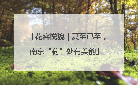 花容悦貌｜夏至已至，南京“荷”处有美韵