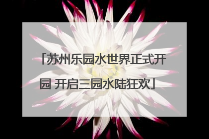 苏州乐园水世界正式开园 开启三园水陆狂欢