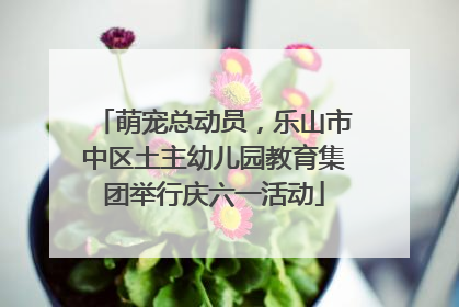萌宠总动员，乐山市中区土主幼儿园教育集团举行庆六一活动