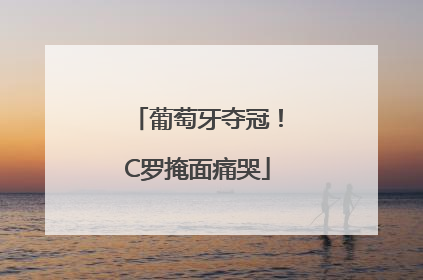 葡萄牙夺冠！C罗掩面痛哭