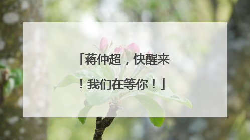 蒋仲超，快醒来！我们在等你！