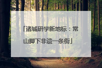 诸城研学新地标：常山脚下非遗一条街