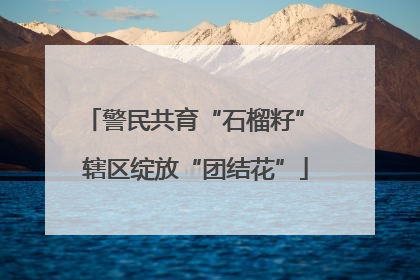 警民共育“石榴籽” 辖区绽放“团结花”
