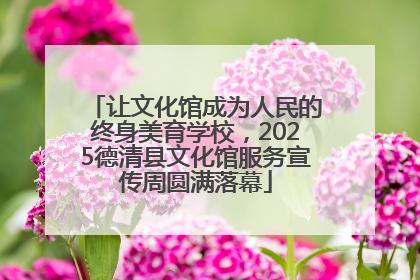 让文化馆成为人民的终身美育学校，2025德清县文化馆服务宣传周圆满落幕