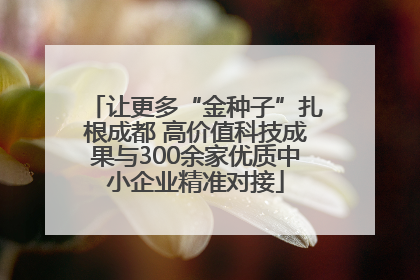 让更多“金种子”扎根成都 高价值科技成果与300余家优质中小企业精准对接