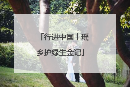 行进中国丨瑶乡护绿生金记
