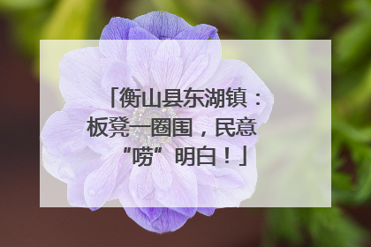衡山县东湖镇：板凳一圈围，民意“唠”明白！
