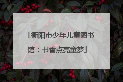 衡阳市少年儿童图书馆：书香点亮童梦