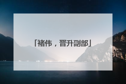 褚伟，晋升副部
