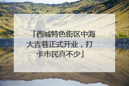 西城特色街区中海大吉巷正式开业，打卡市民真不少