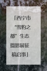 西宁市“雪豹之都”生态摄影展征稿启事