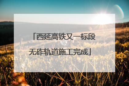 西延高铁又一标段无砟轨道施工完成
