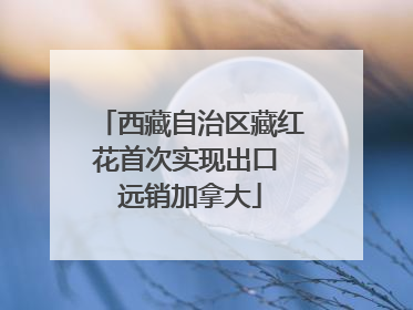 西藏自治区藏红花首次实现出口 远销加拿大