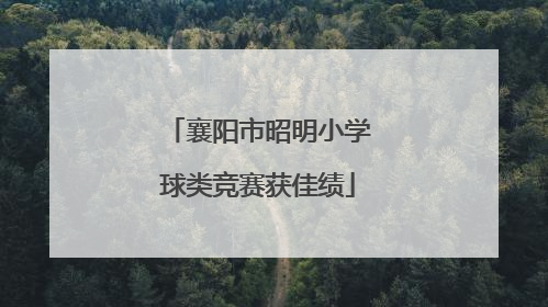 襄阳市昭明小学球类竞赛获佳绩