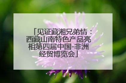 见证藏湘兄弟情：西藏山南特色产品亮相第四届中国-非洲经贸博览会