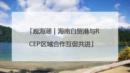 观海潮｜海南自贸港与RCEP区域合作互促共进