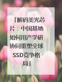解码美光芯片：中国基地如何用产学研协同重塑全球SSD竞争格局
