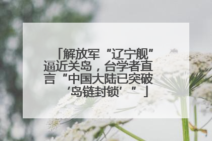 解放军“辽宁舰”逼近关岛，台学者直言“中国大陆已突破‘岛链封锁’”