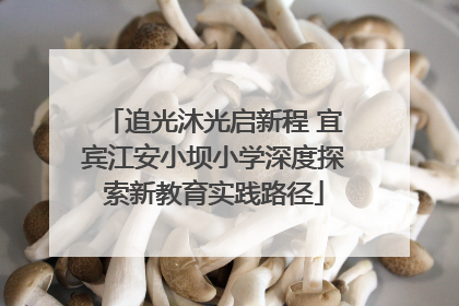 追光沐光启新程 宜宾江安小坝小学深度探索新教育实践路径